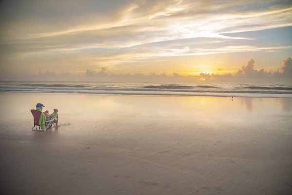 Quelle est la méthode la plus douce pour apprendre la propreté à un chiot Basset Hound?